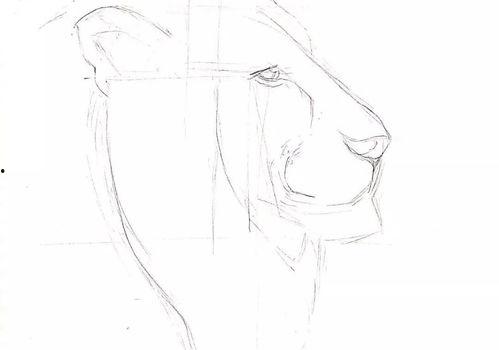 成人简笔画教程入门视频,跟随简笔画教程轻松入门成人绘画艺术